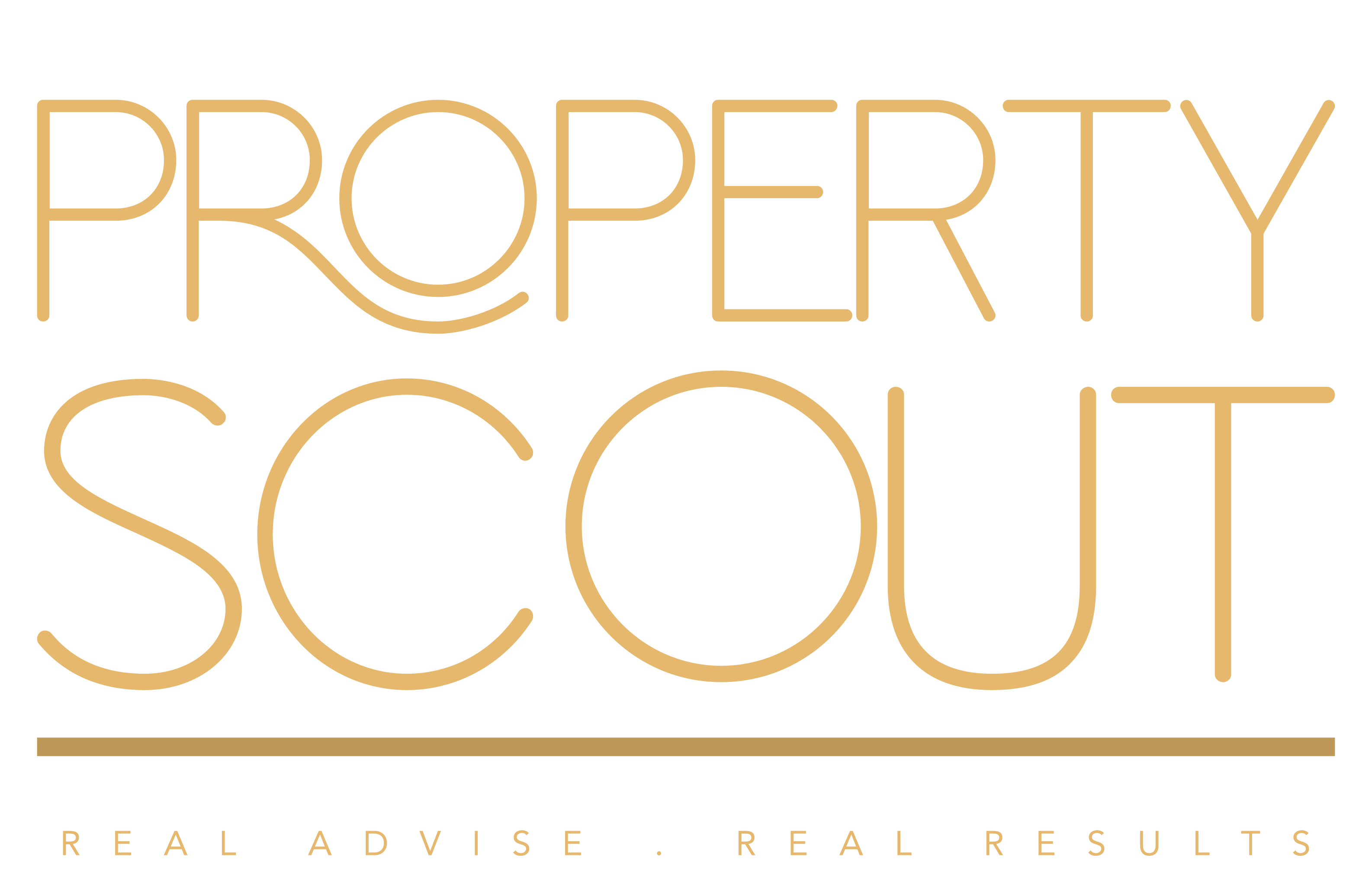 Property Scout